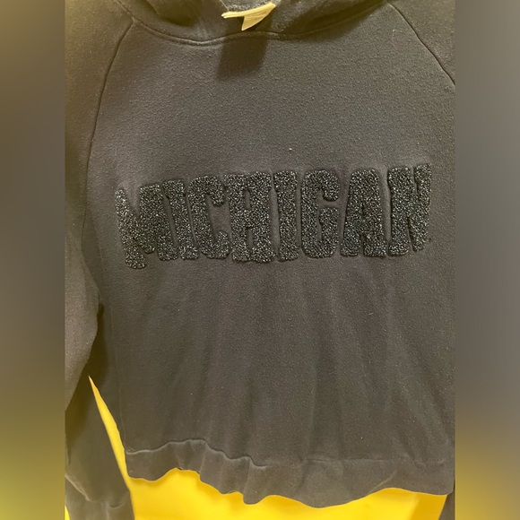 U of M cropped hoodie! - Picture 2 of 4